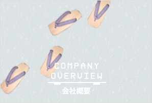 companyoverview